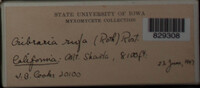 Image Associated With the Occurence